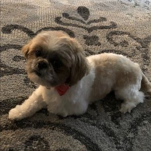 Meet your Posher, Pamela